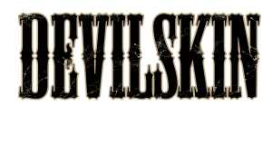 DSKIN ALBUM 2 LOGO
